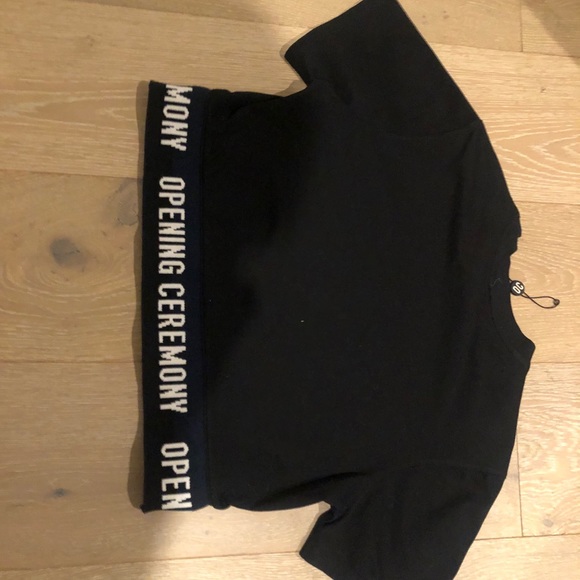 Opening Ceremony Crop Top - Picture 2 of 2